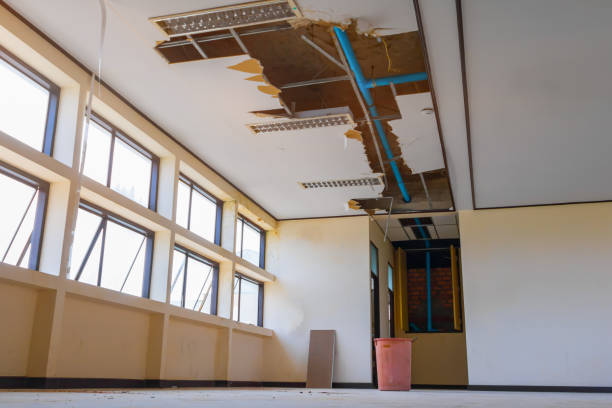 Best Carpet water damage restoration  in Indian Hills, TX