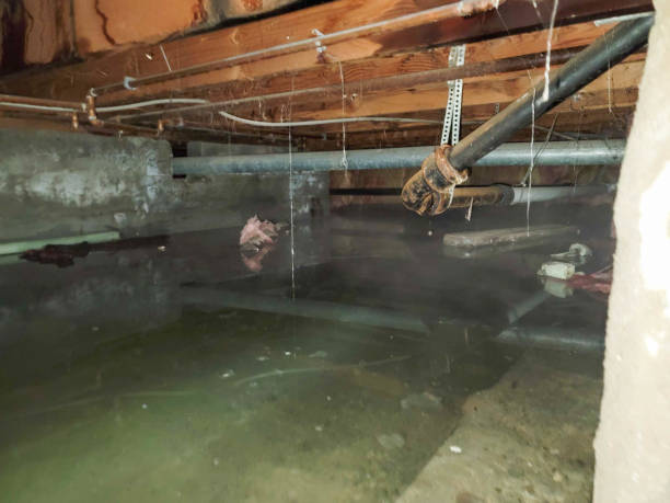 Best Local water damage restoration  in Indian Hills, TX