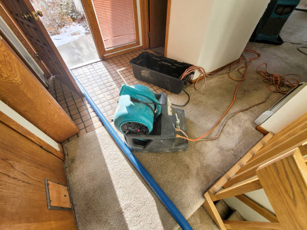 Best Emergency water damage restoration  in Indian Hills, TX