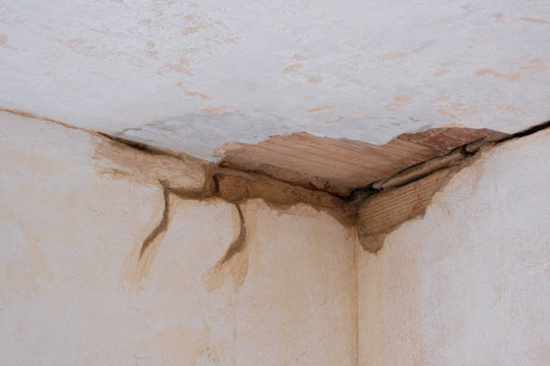 Best Local water damage restoration  in Indian Hills, TX
